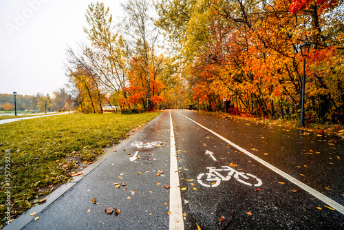 Wet autumn bike path in a park with colorful fall trees and leaves on the ground after rain