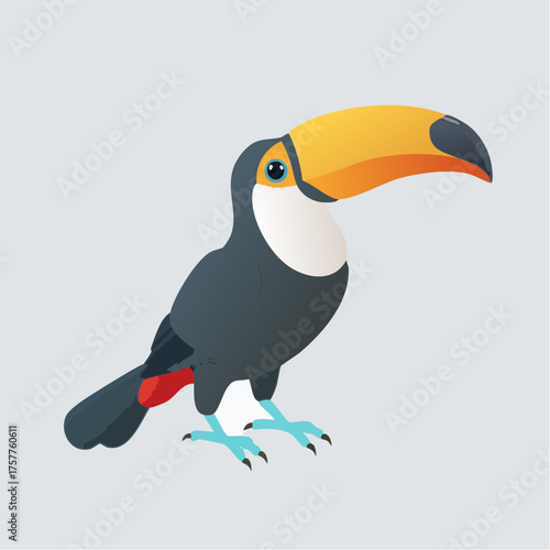 Flat style toucan bird with large beak