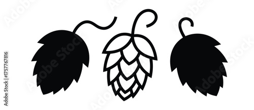 Black silhouette of hops plant with cones and leaves