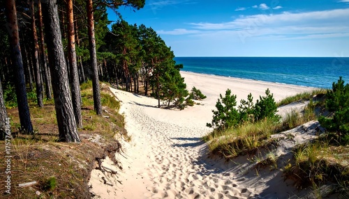 Fototapeta Naklejka Na Ścianę i Meble -  Sandy beach path through dunes to a tranquil ocean
