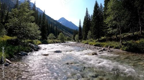 Mountain river flowing through a lush forest under a bright sky
