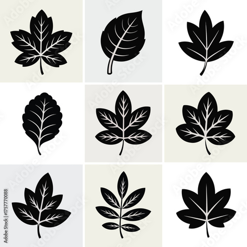 Collection of nine stylized black leaf silhouettes on a light background
