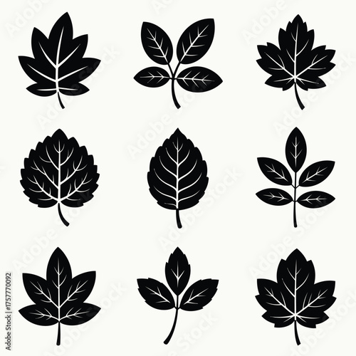 Collection of nine different black leaf silhouettes on a light background