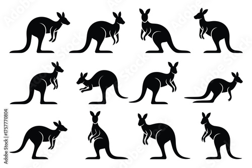 Collection of kangaroo silhouettes in various poses and actions