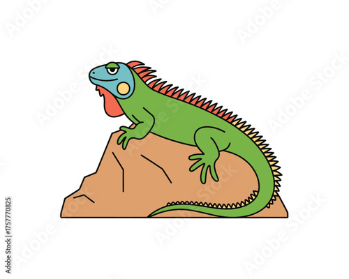 Green iguana perched on a rock with a colorful head