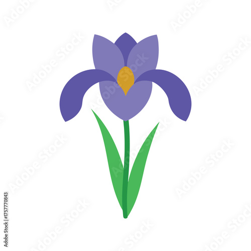 iris flower vector illustration