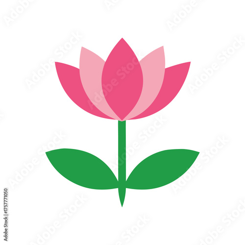 lotus flower vector illustration