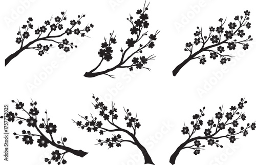 Cherry Blossom Silhouette Vector Art