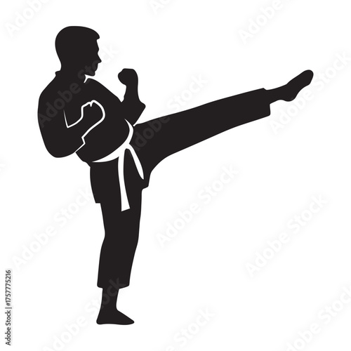 Karate Fighter Silhouette Vector , Martial Arts Kick Pose SVG, Karate Clipart, Taekwondo Training Illustration for Sports Desig