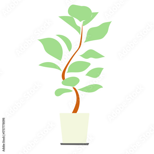 曲線の枝が特徴的な観葉植物の鉢植えイラスト｜ナチュラルで落ち着いた印象のデザインがインテリアやカフェの装飾素材として使いやすいボタニカルアート