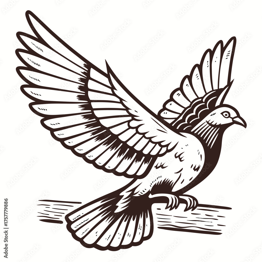 Obraz premium Pigeon Spreading Wings Rough Wood Block Print Style Vector Illustration