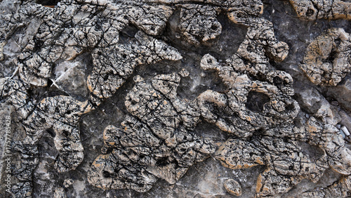 A very interesting surface of a large rock on the seashore