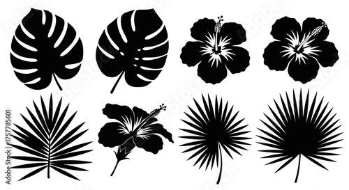 Tropical foliage and flowers