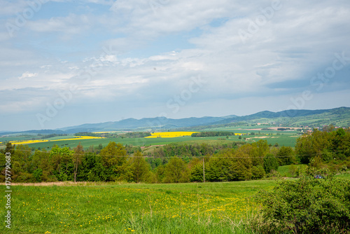 Kwitnąca polana Gąsienicowa w Tatrach