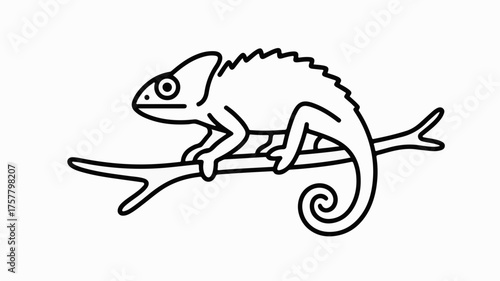 Simple line drawing of a chameleon perched on a branch, symbolizing adaptation and change.