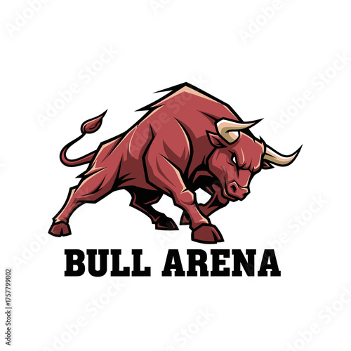 bull arena animal spain wild danger culture sport brave 