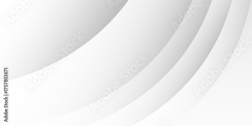 Abstract white smooth,curve,wave element modern background. Vector illustration for cover,banner,template,wallpaper