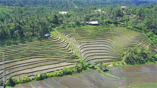 Enchanting Aerial View of Belimbing Rice Terraces – Hidden Paradise in Pupuan, Tabanan Bali