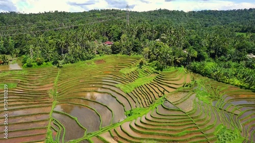 Enchanting Aerial View of Belimbing Rice Terraces – Hidden Paradise in Pupuan, Tabanan Bali