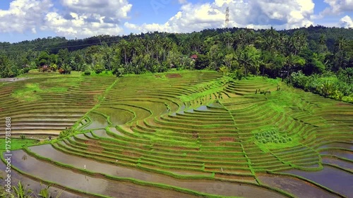 Enchanting Aerial View of Belimbing Rice Terraces – Hidden Paradise in Pupuan, Tabanan Bali