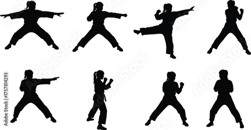 Silhouette of martial artists practicing karate poses, training kicks, punches, and stances, symbolizing discipline, strength, fitness, and self-defense movement