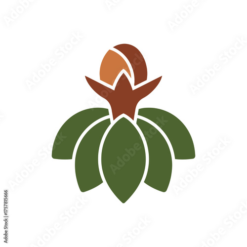 Illustration of a stylized clove flower, featuring a detailed depiction of its bud and petals.
