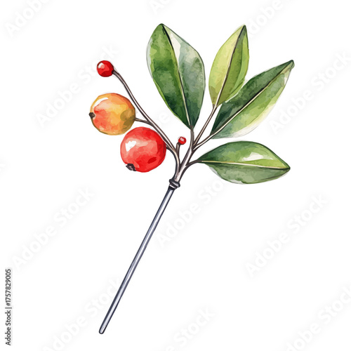 watercolor vector of Collar Pin, isolated on a white background.