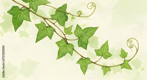 Ivy vines and leaves are depicted in an illustration against a soft light green background