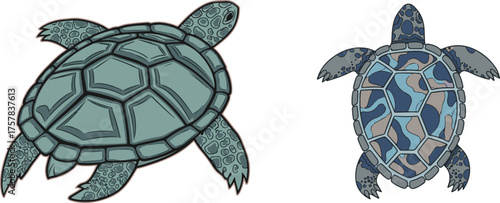 Stylized Vector Sea Turtle Pair, Green Blue Patterned Shells, Hexagonal Scutes