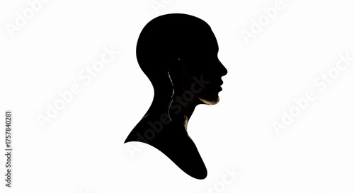 Elegant silhouette of a person's profile against a bright white background