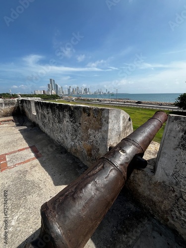 cannon in the fortress