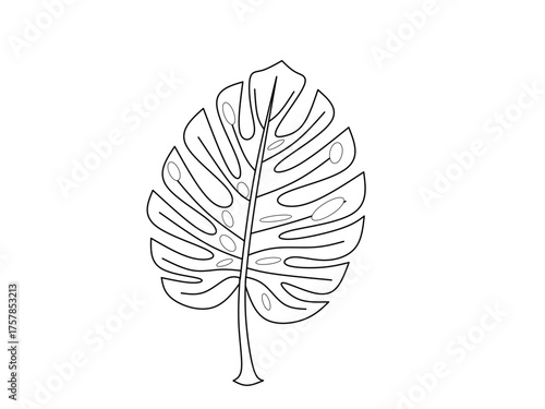 Stylish minimalist line art of monstera leaf