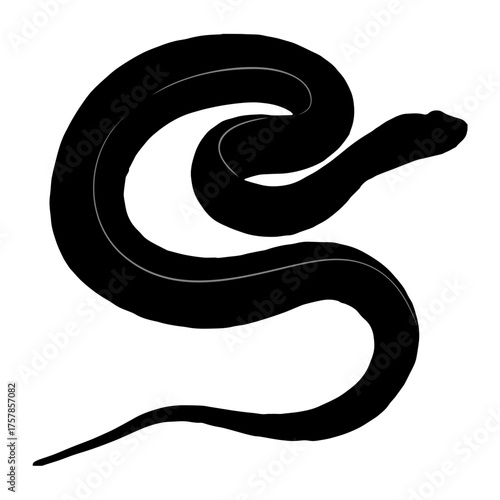 snake silhouette vector