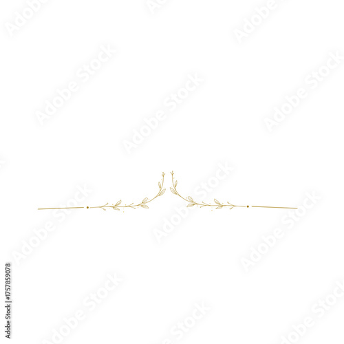 Gold floral divider Border 
