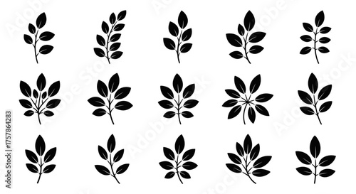 Collection of various black leaf branch silhouettes