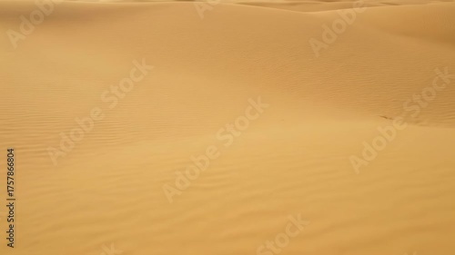 Overhead view capturing the gentle, undulating patterns of fine sand on a vast, untouched desert landscape under even natural illumination natural, minimalist, arid