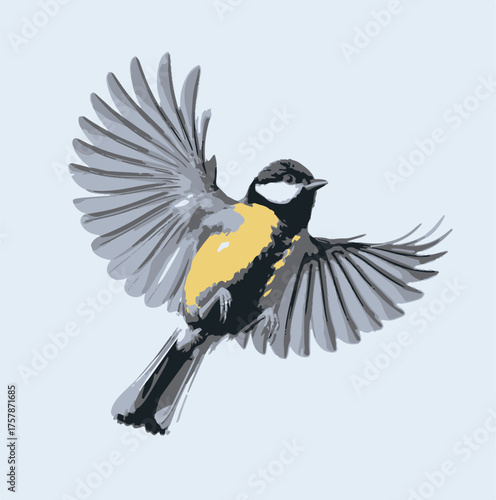 Great Tit bird in flight with wings spread against a pale blue background flying
