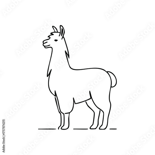 Minimalist llama line art icon. Simple standing alpaca vector logo. Black and white animal outline.