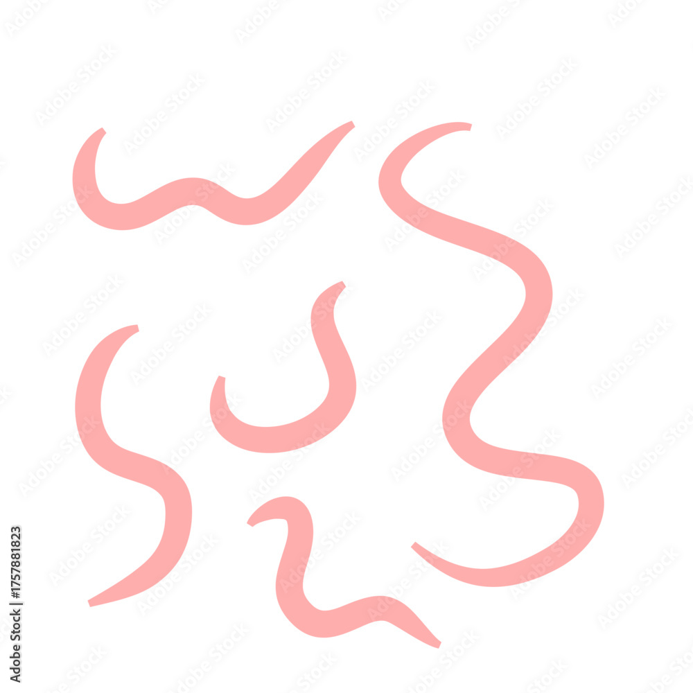 Obraz premium Tape worm vector