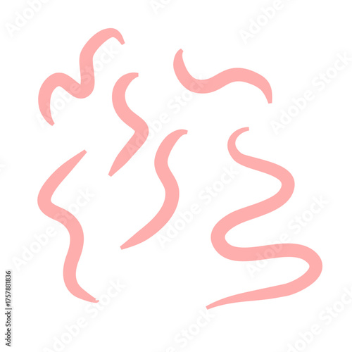 Tape worm vector