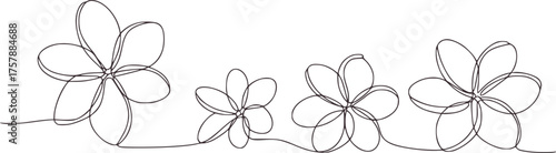 Minimalist line drawing of four plumeria flowers floral line art