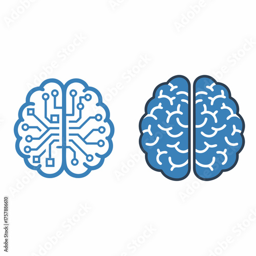 human brain vector illustration