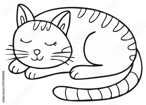 Cute sleeping tabby cat illustration in black and white drawing style