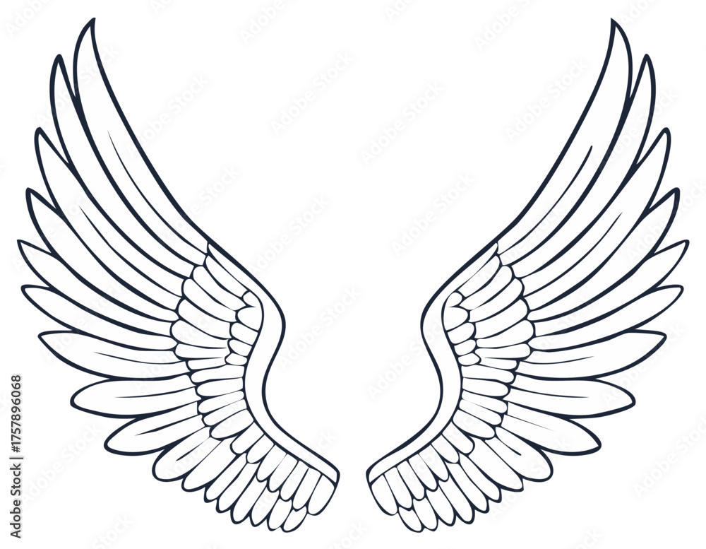 Obraz premium Elegant symmetrical wings illustration, line art design, angel wings drawing, bird wings clip art, heavenly symbolic ornament.