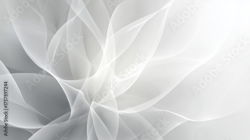 透明感のあるホワイトグラデーションの抽象的背景 -（ファッション・美容、インテリア、動画、企業）