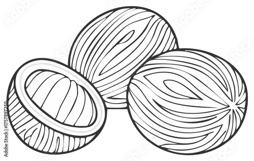 Nutmeg Spice Line Art Whole and Half Food Ingredient Illustration