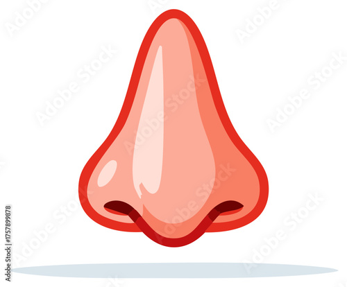 Stylized Human Nose Illustration, Vector Cartoon Style, Medical Concept