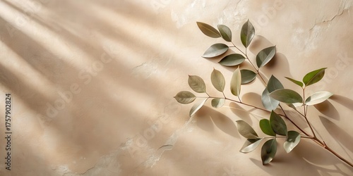 Elegant Greenery Arranged on a Textured Neutral Surface with Soft Light and Shadow Play