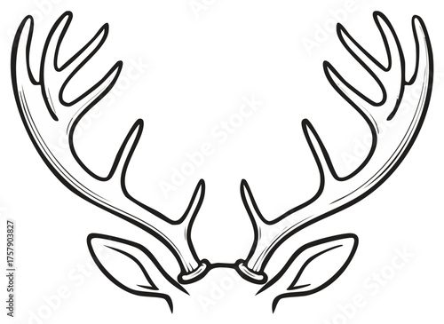Deer antlers and ears in a black and white line art illustration style