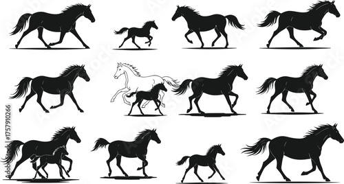 Twelve Horse Silhouettes Showing Gallop Motion Sequence with White and Black Contrast, Equine Movement Study Vector Illustration for Animation